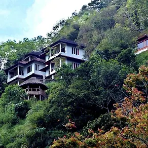 Blackberry Hills Nature & India